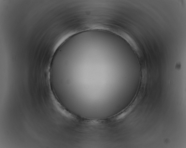 X0000092210814200710051135