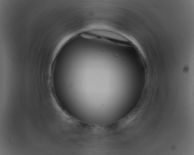 X0000092210815200710051135