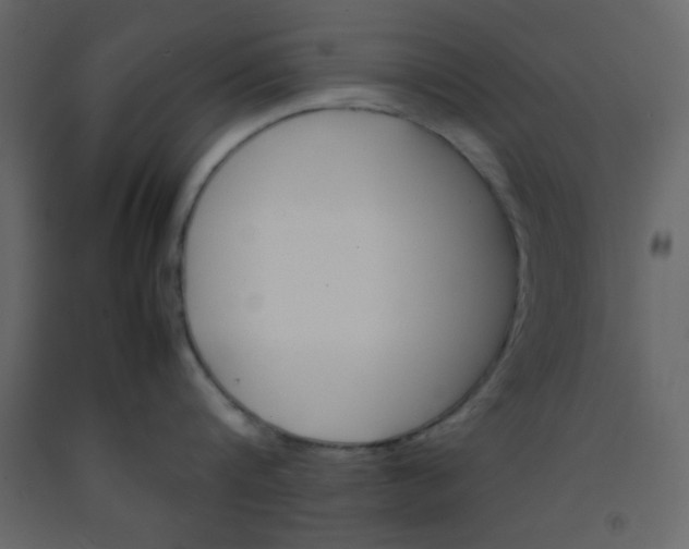 X0000092210816200710051135