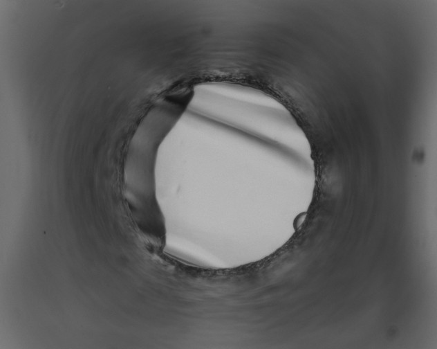 X0000092210817200710051135