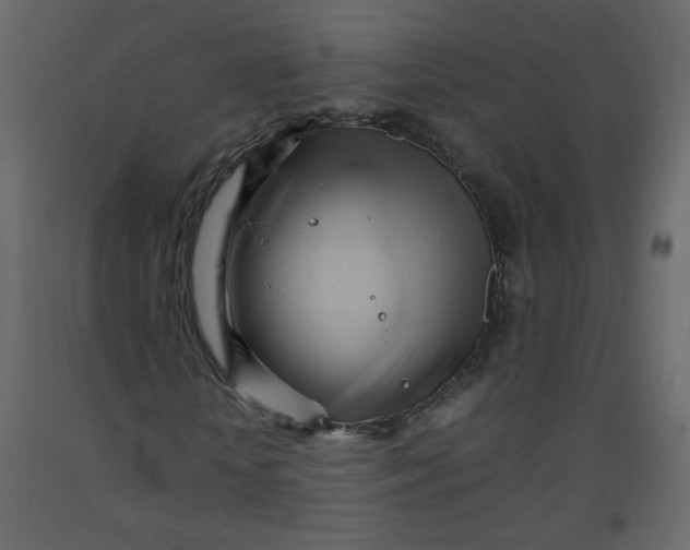 X0000092210818200710051135