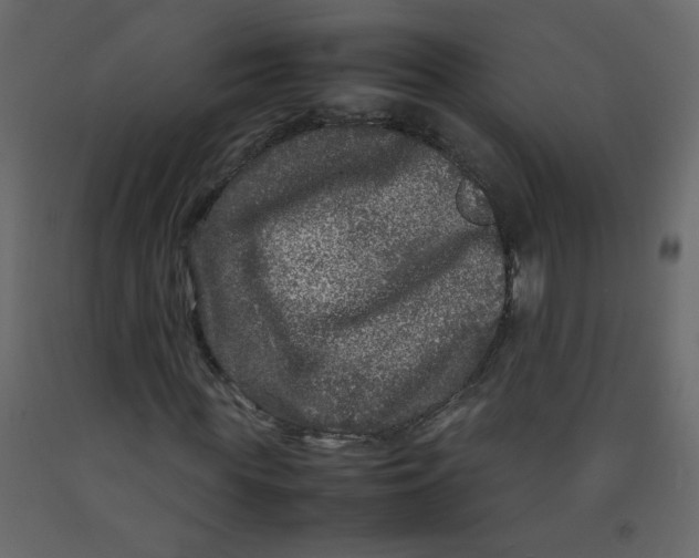 X0000092210819200710051135