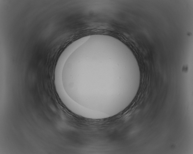 X0000092210820200710051135