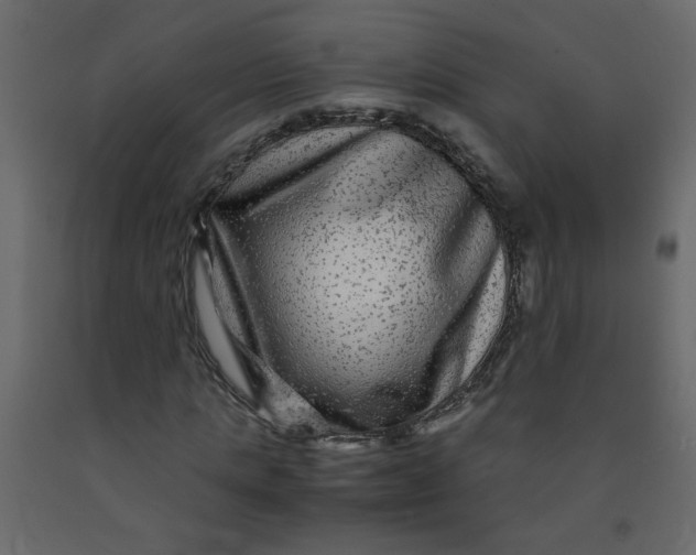 X0000092210821200710051135