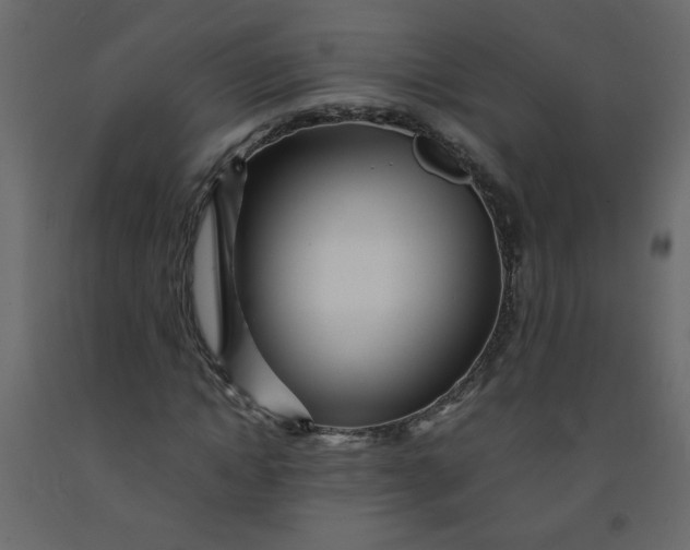 X0000092210822200710051135