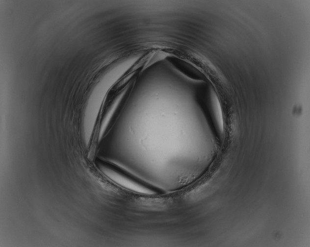 X0000092210825200710051135