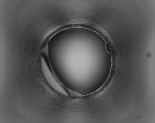 X0000092210826200710051135