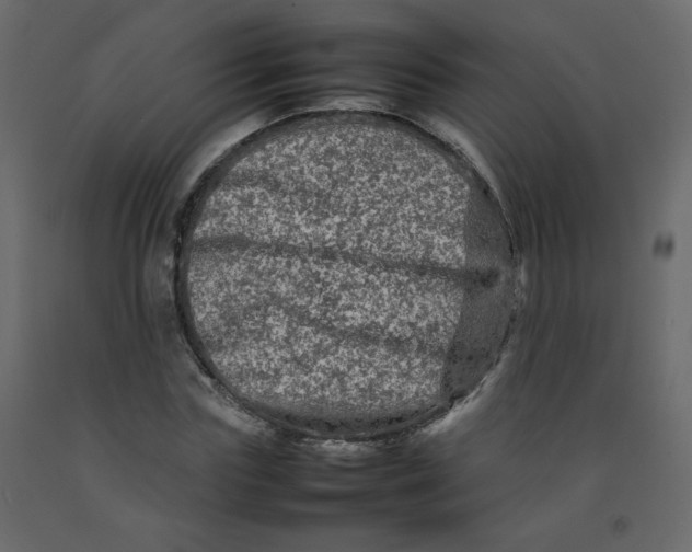 X0000092210827200710051135