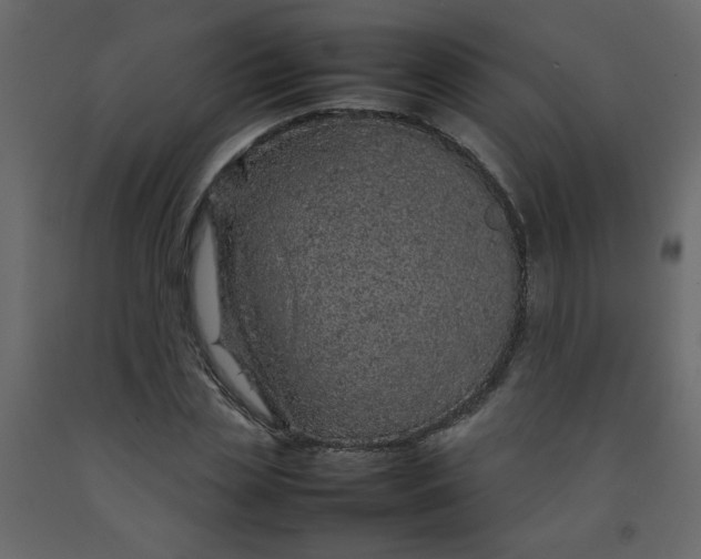 X0000092210829200710051135