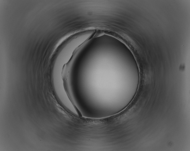 X0000092210830200710051135