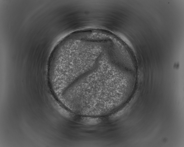 X0000092210831200710051135