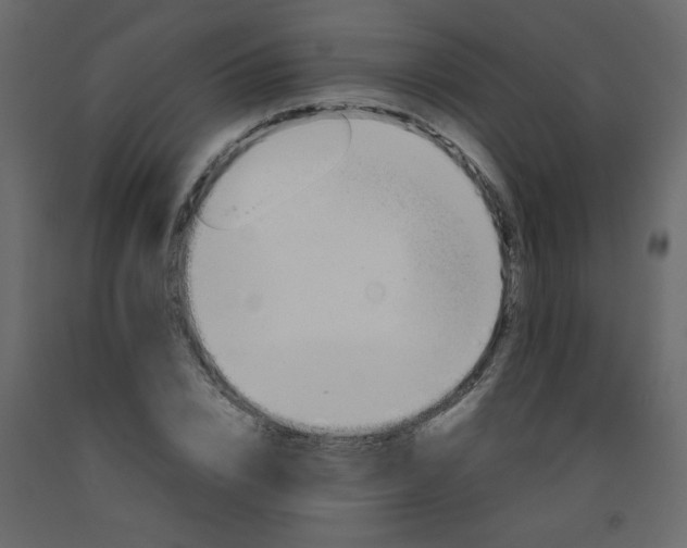 X0000092210832200710051135