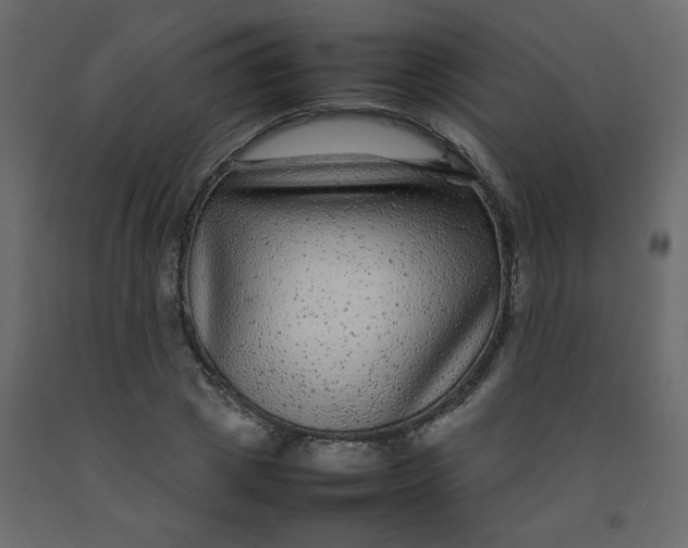 X0000092210833200710051135