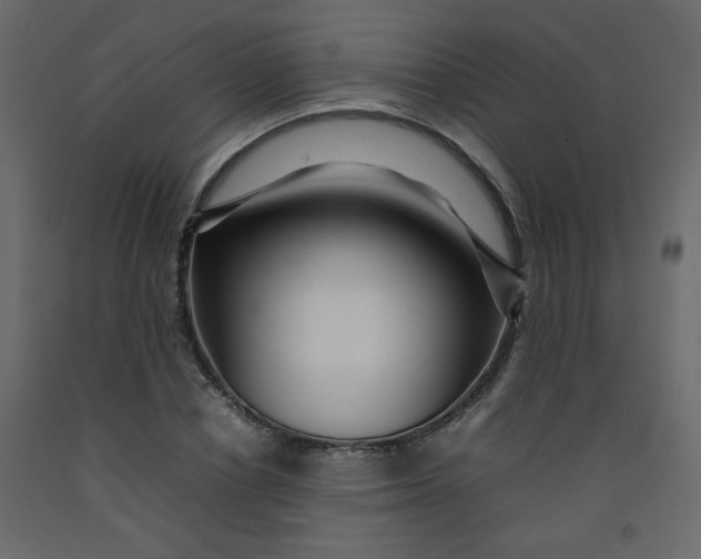 X0000092210834200710051135