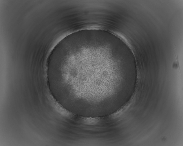 X0000092210835200710051135