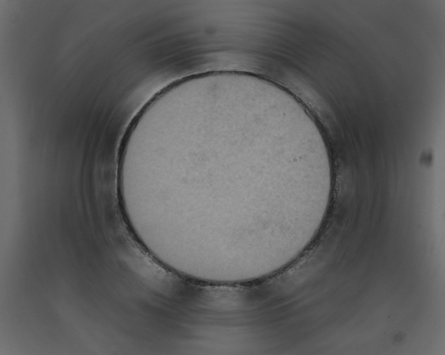 X0000092210836200710051135