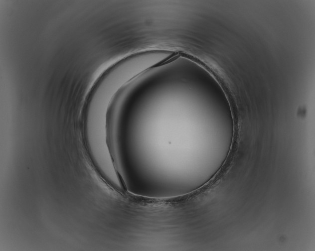 X0000092210838200710051135