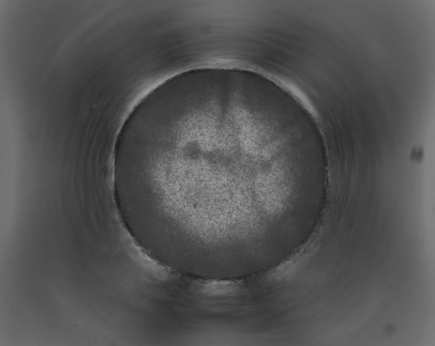 X0000092210839200710051135