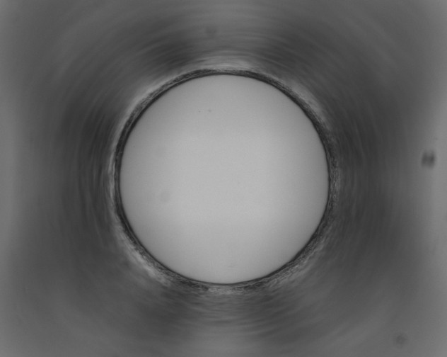 X0000092210840200710051135