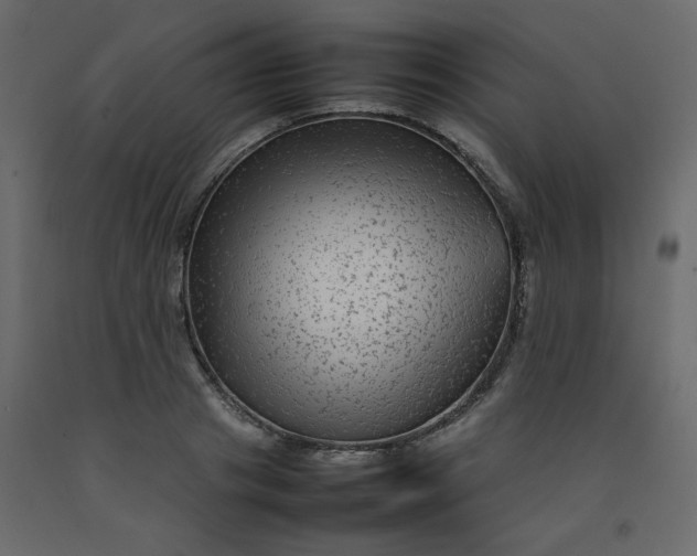 X0000092210841200710051135