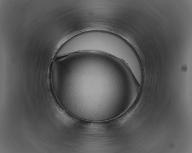 X0000092210842200710051135