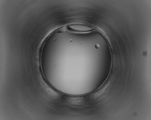 X0000092210843200710051135