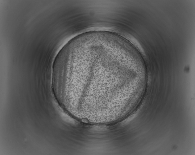 X0000092210844200710051135