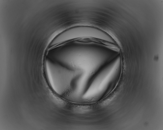 X0000092210845200710051135