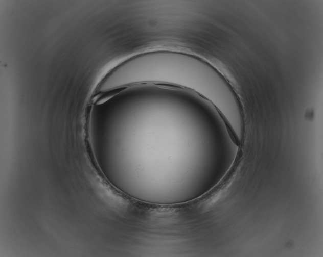 X0000092210846200710051135