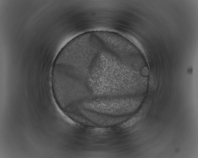 X0000092210847200710051135