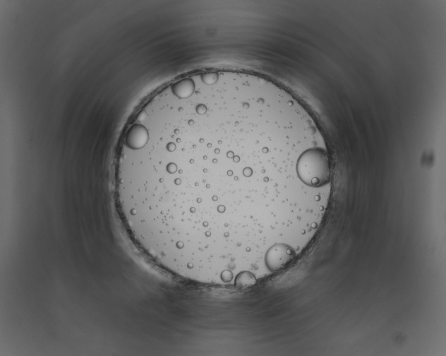 X0000092210848200710051135