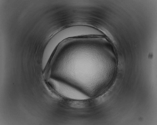 X0000092210849200710051135