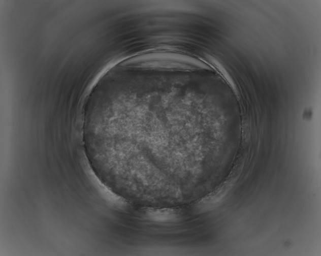 X0000092210851200710051135