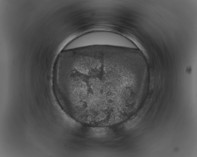 X0000092210853200710051135