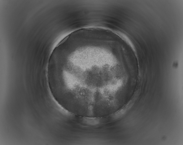 X0000092210855200710051135