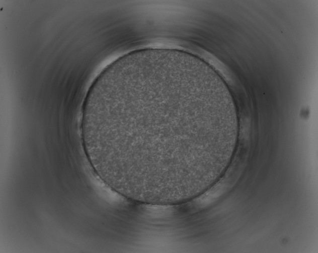 X0000092210856200710051135