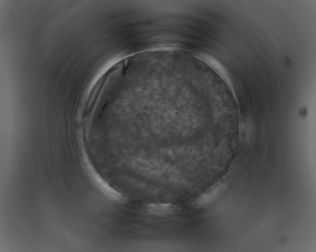 X0000092210859200710051135