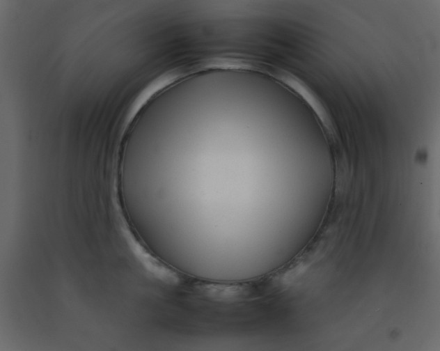 X0000092210861200710051135