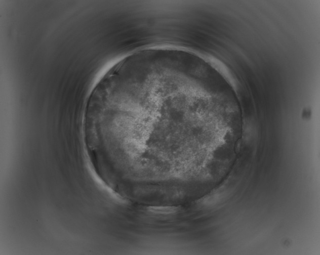 X0000092210863200710051135