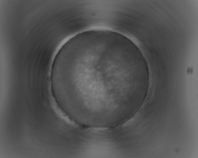 X0000092210864200710051135