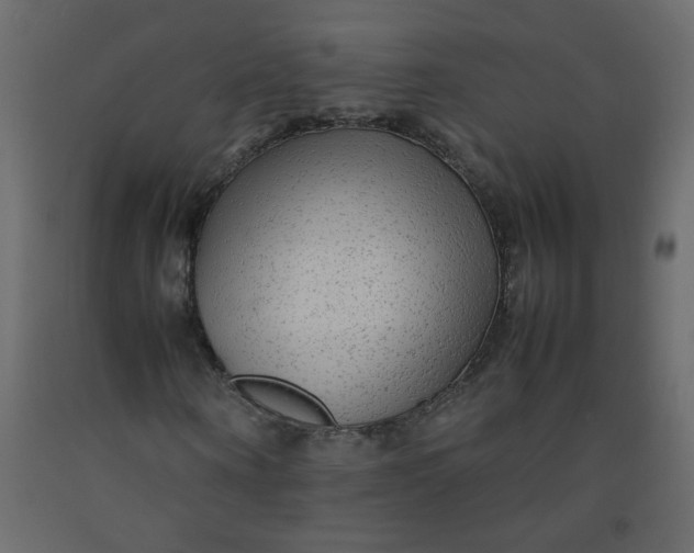 X0000092210866200710051135