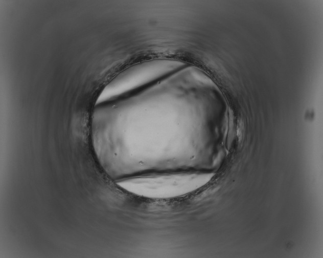 X0000092210867200710051135