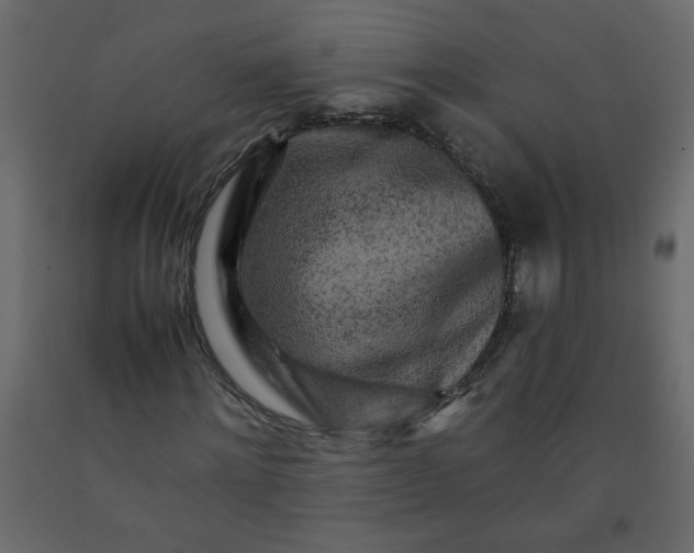 X0000092210868200710051135