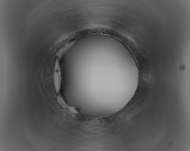 X0000092210869200710051135