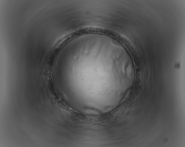 X0000092210870200710051135