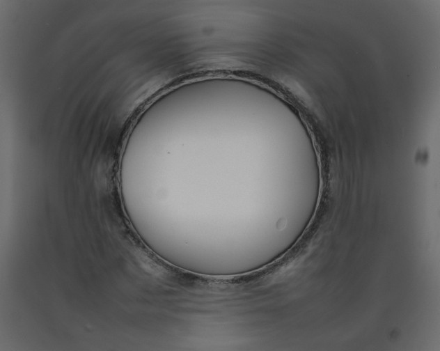 X0000092210873200710051135