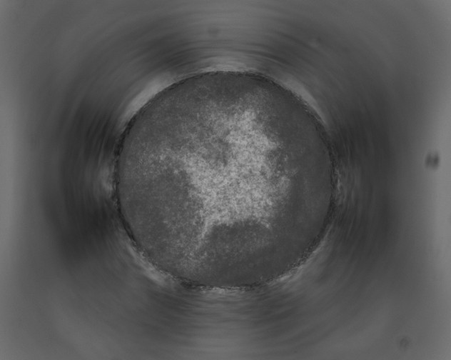 X0000092210874200710051135