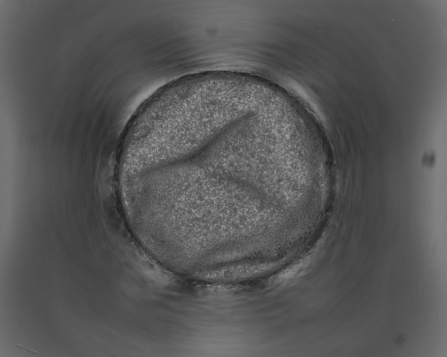 X0000092210875200710051135