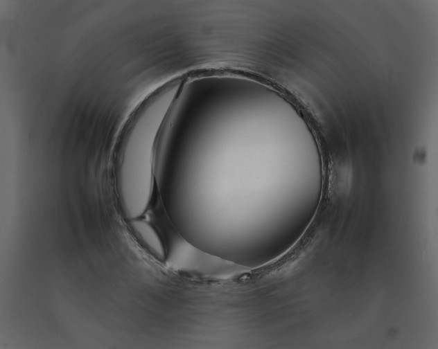 X0000092210876200710051135