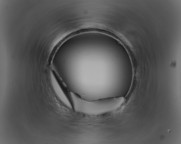 X0000092210877200710051135